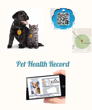 The Vet ID SMART Rabies Tags by Stone Manufacturing and Supply Company in Kansas City Missouri